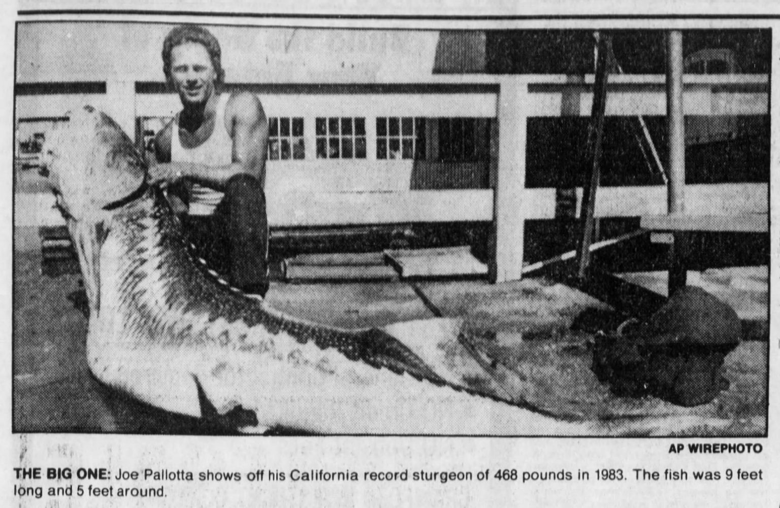 fishing planet sturgeon california