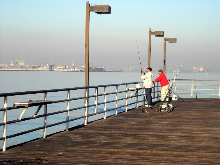 Embarcadero Marina Park Pier — San Diego - Pier Fishing in California