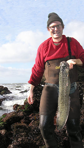 18 Monkey-faced eel! [Northern California] : r/Fishing