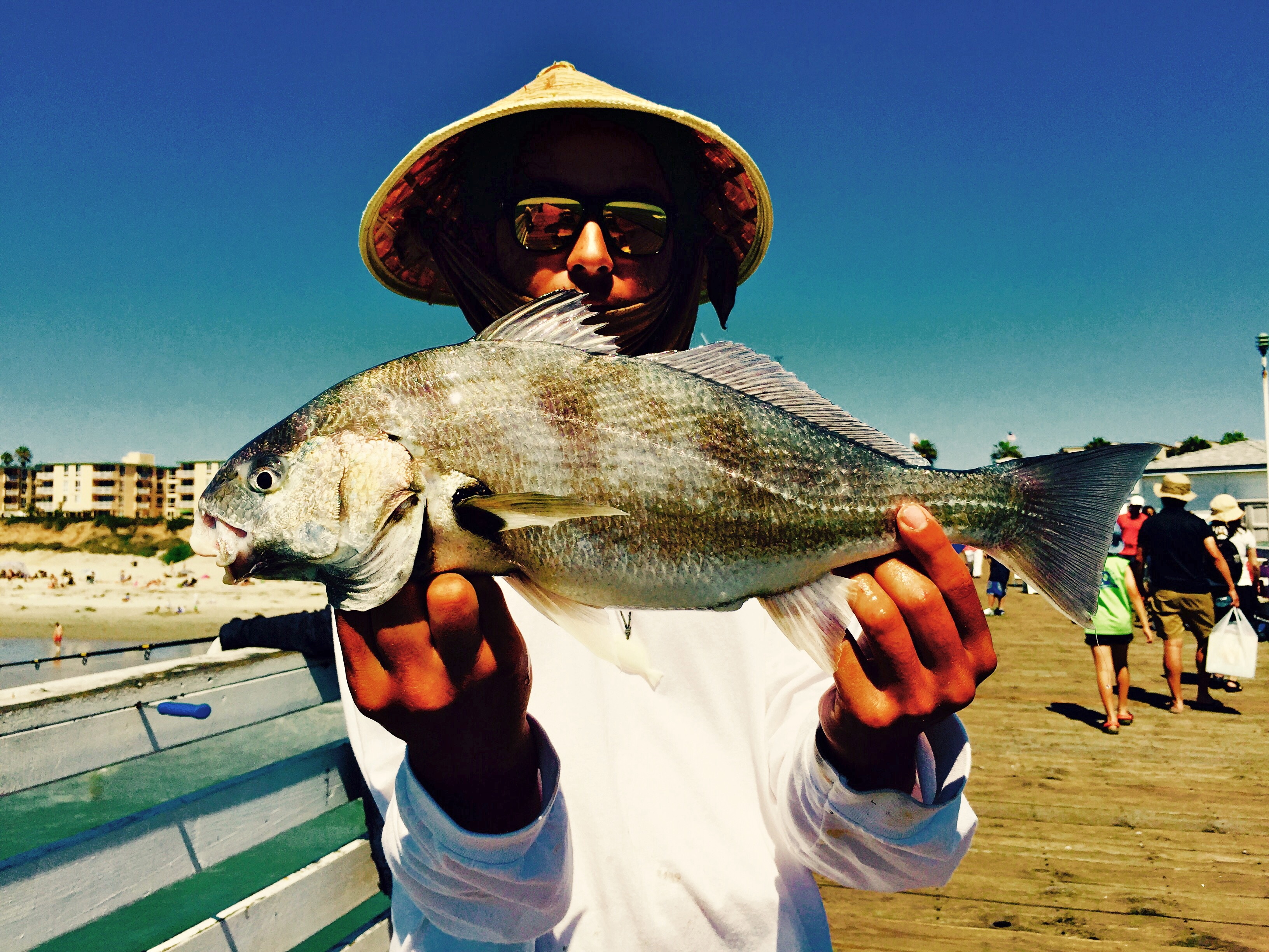Spotfin Croaker - Pier Fishing in California