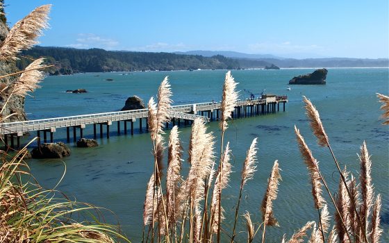 Trinidad Pier aka Seascape Pier — Trinidad - Pier Fishing in California