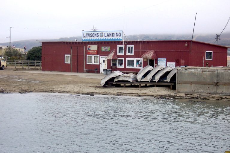 Lawson's Landing Pier — Tomales Bay Pier Fishing in