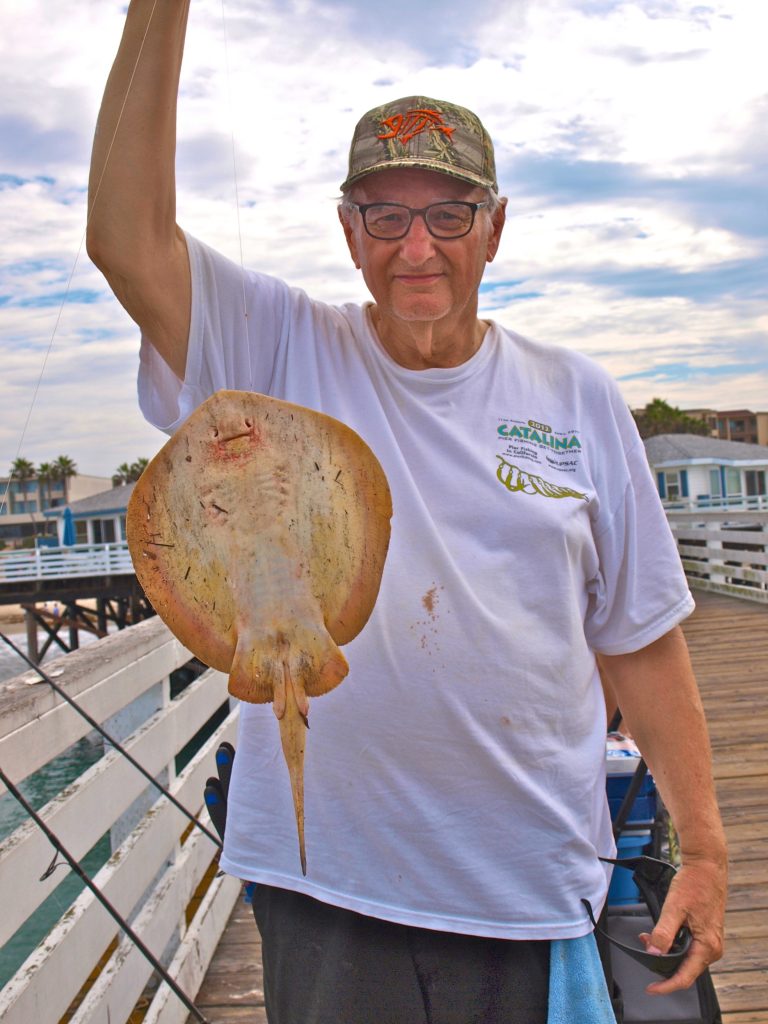 Round Stingray - Pier Fishing in California