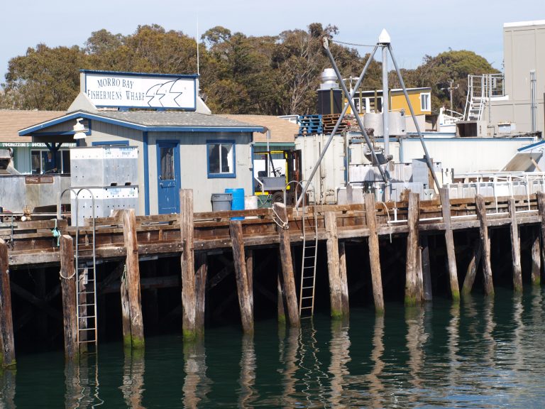 Morro Bay North TPier Page 3 of 3 Pier Fishing in