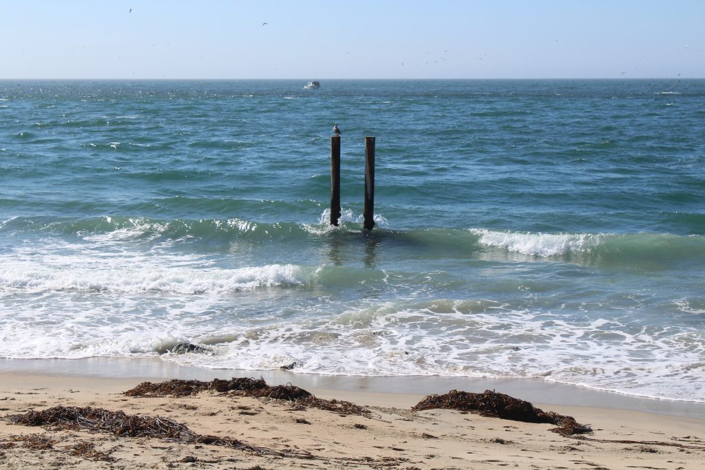 Moss.Landing.Pier_2018.1 Pier Fishing in California