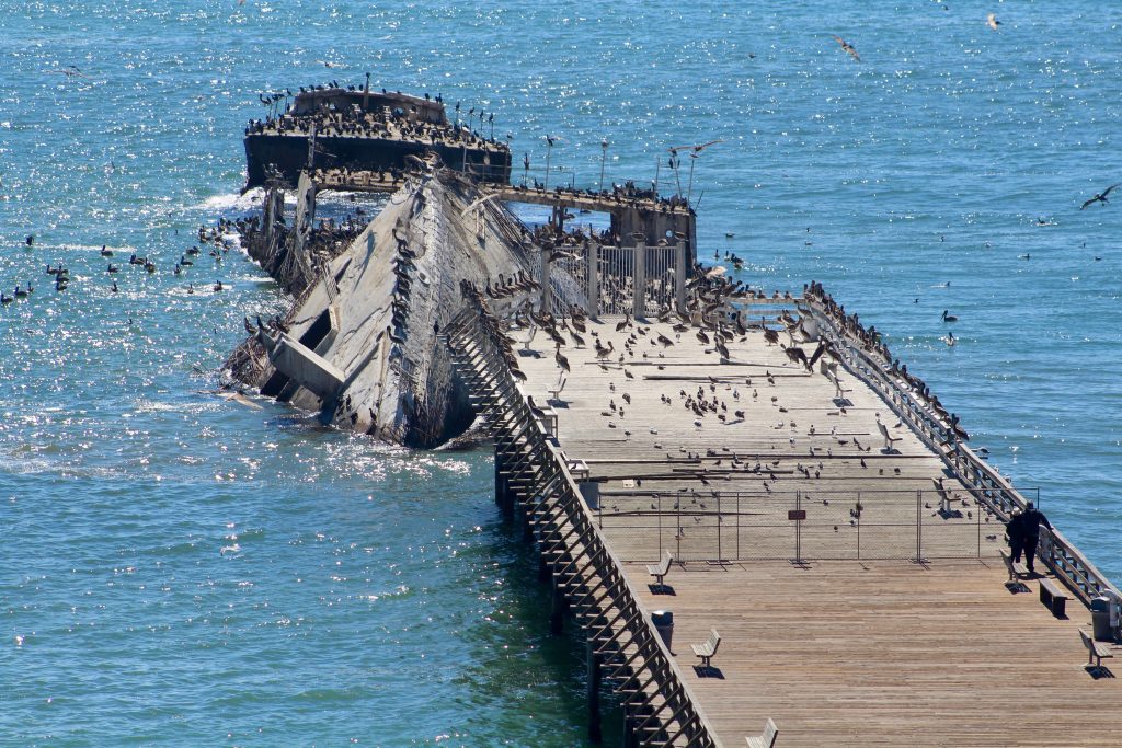 Seacliff 2018 Pier.6 - Pier Fishing in California