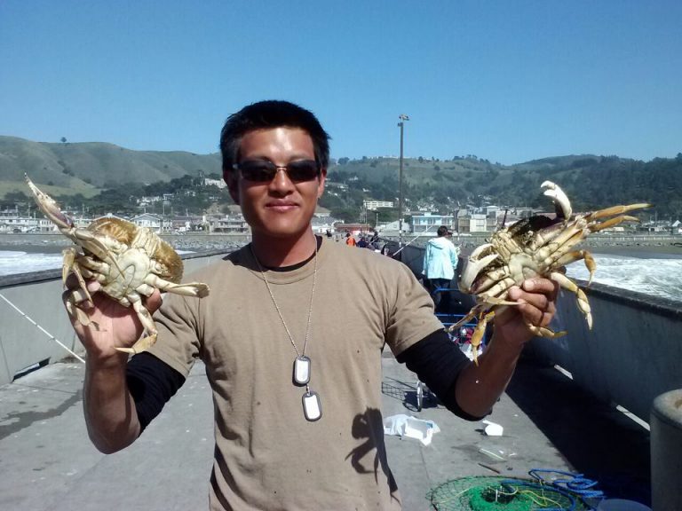 Dungeness Crab - Pier Fishing in California